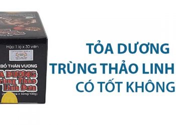 tỏa dương trùng thảo linh đơn có tốt không