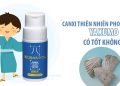 canxi thiên nhiên phong hóa sò yakumo