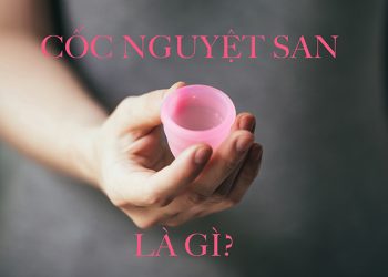 Cốc Nguyệt San Là Gì? Giải Đáp Các Câu Hỏi Thường Gặp Khi Dùng Cốc Nguyệt San