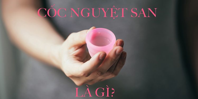 Cốc Nguyệt San Là Gì? Giải Đáp Các Câu Hỏi Thường Gặp Khi Dùng Cốc Nguyệt San