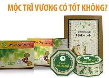 mộc trĩ vương có tốt không