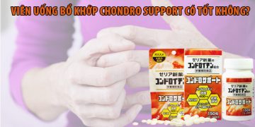chondro support có tốt không