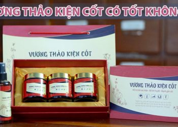 vương thảo kiện cốt có tốt không