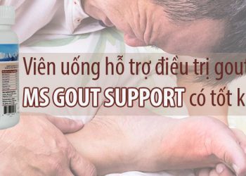 ms gout support có tốt không