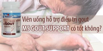 ms gout support có tốt không