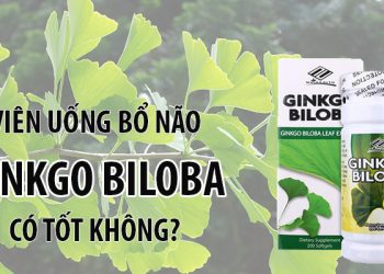 nuhealth ginko biloba có tốt không