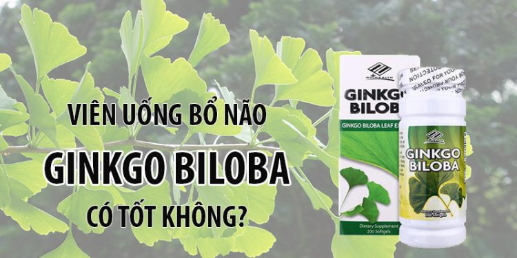 nuhealth ginko biloba có tốt không