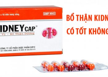 bổ thận kidneycap có tốt không