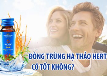 nước đông trùng hạ thảo hector sâm có tốt không