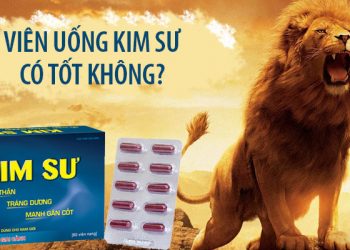 kim sư có tốt không