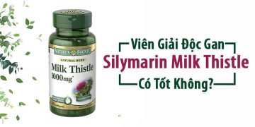 viên giải độc gan silymarin milk thistle 1000mg có tốt không