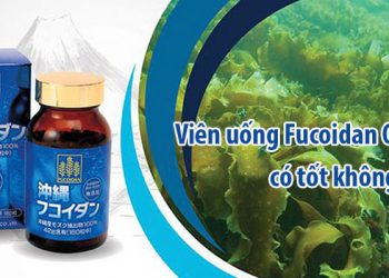fucoidana okinawa có tốt không