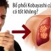 viên bổ phổi kobayashi có tốt không