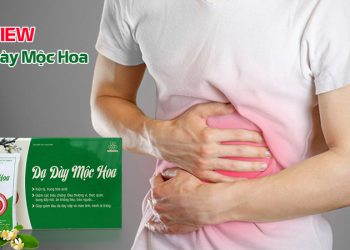 dạ dày mộc hoa có tốt không