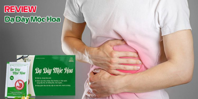 dạ dày mộc hoa có tốt không