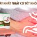dạ dày nhất nhất có tốt không