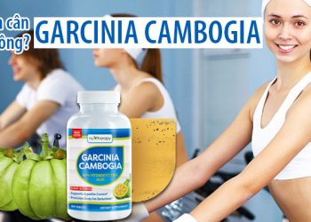 giảm cân nutherapy garcinia cambogia có tốt không
