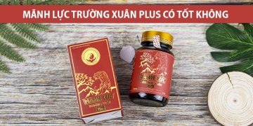 mãnh lực trường xuân plus
