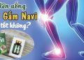 hinh dai dien cao gam navi co tot khong