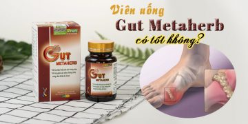 hinh dai dien gut metaherb co tot khong