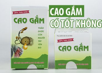 cao gắm có tốt không