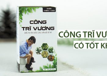 công trĩ vương có tốt không