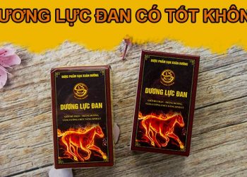 dương lực đan có tốt không