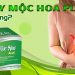 Dạ Dày Mộc Hoa Plus Có Tốt Không?