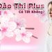 dao thi plus co tot khong