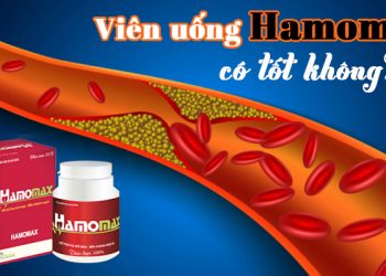Viên Uống Mỡ Máu Hamomax Có Tốt Không? Giá Bao Nhiêu? Mua Ở Đâu?