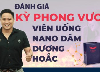 kỳ phong vương có tốt không