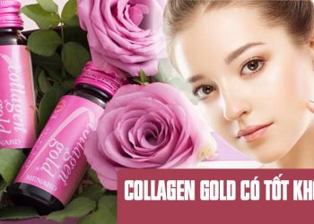 collagen gold co tot khong