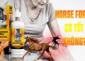 horse force co tot khong