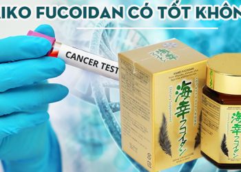 kaiko fucoidan co tot khong