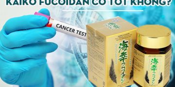 kaiko fucoidan co tot khong