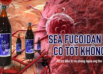 san pham sea fucoidan dx co tot khong