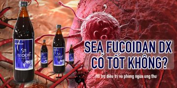 san pham sea fucoidan dx co tot khong