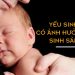 yeu sinh ly co anh huong den sinh san