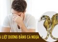 chua liet duong bang ca ngua