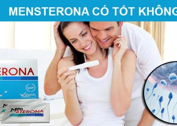 mensterona có tốt không
