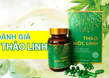 thảo mộc linh có tốt không