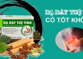 dạ dày tuệ tĩnh có tốt không