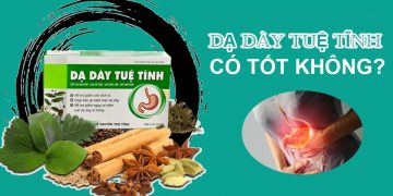 dạ dày tuệ tĩnh có tốt không