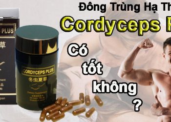 đông trùng hạ thảo cordyceps plus có tốt không
