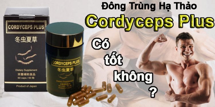 đông trùng hạ thảo cordyceps plus có tốt không