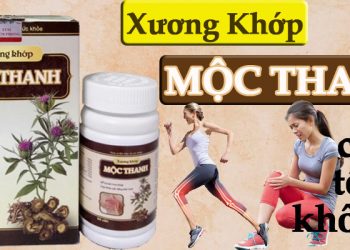 xương khớp mộc thanh có tốt không