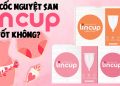 cốc nguyệt san lincup có tốt không