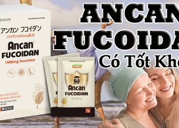 ancan fucoidan có tốt không