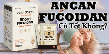 ancan fucoidan có tốt không