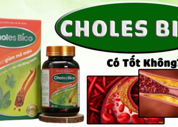 ccholes bico có tốt không